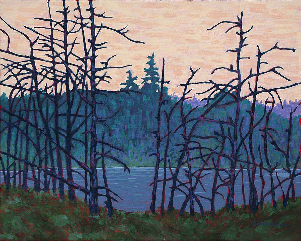 Algonquin Wetland, 2006