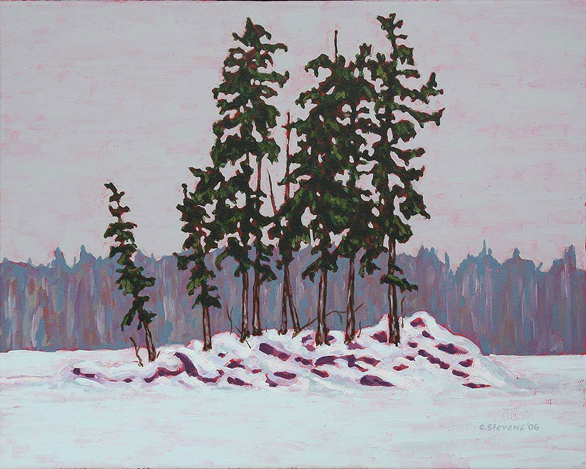 Frozen Island, 2006