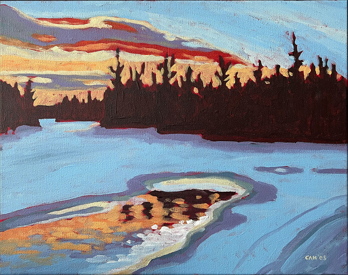 Rain Lake study, 2005