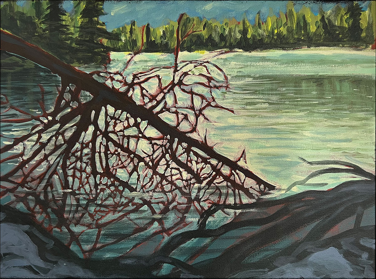 Raven Lake study, 2004