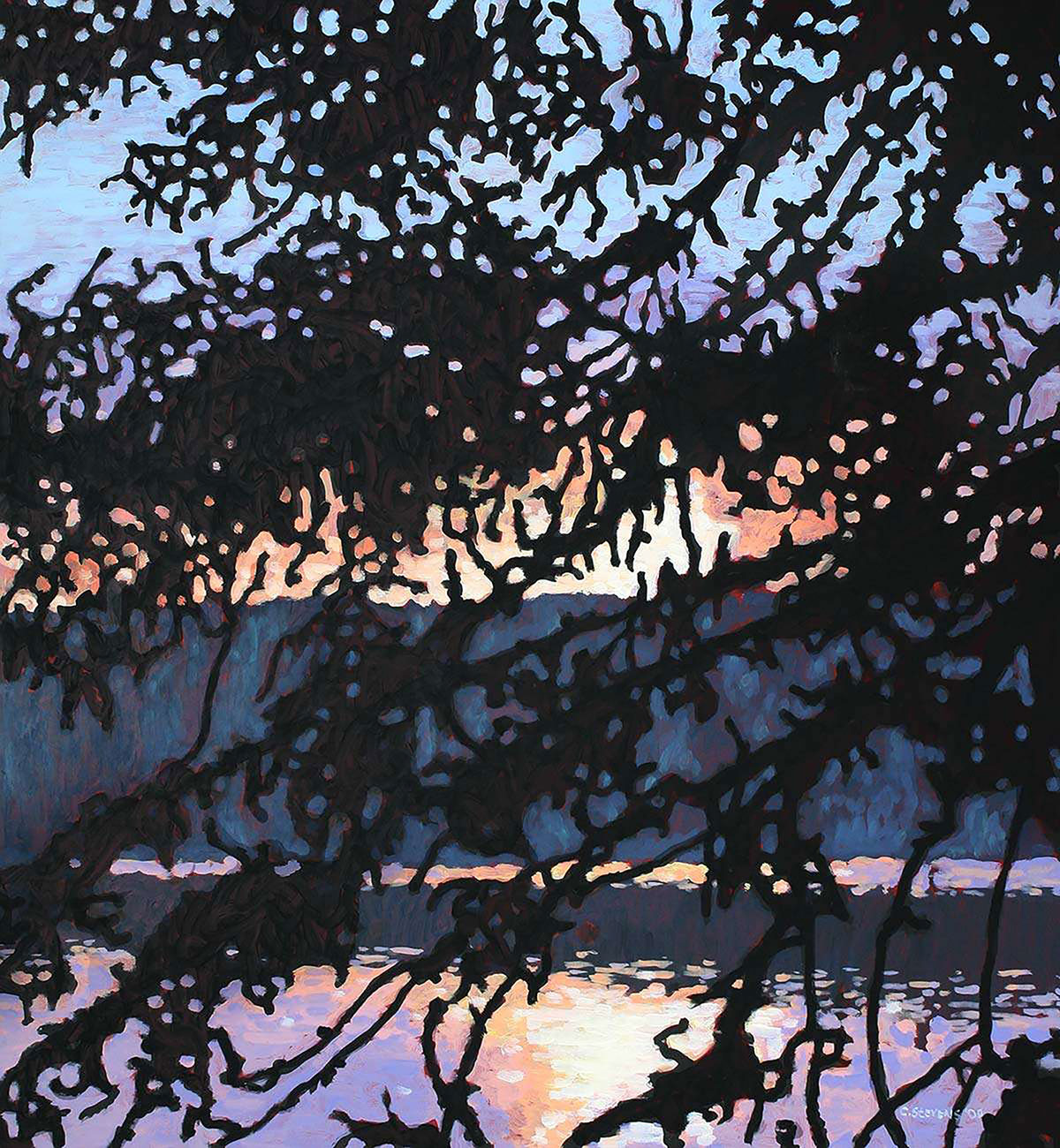 Rosebary Lake, 2007