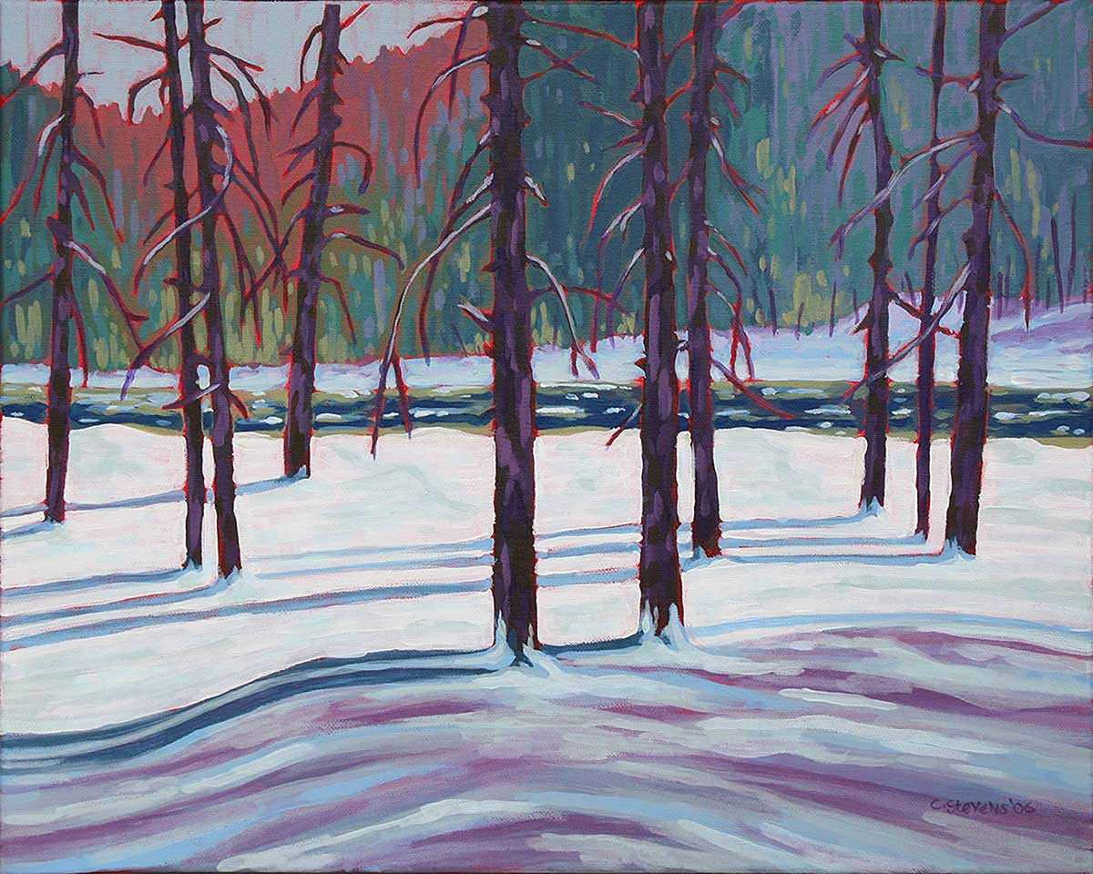The Spruce Bog, 2006