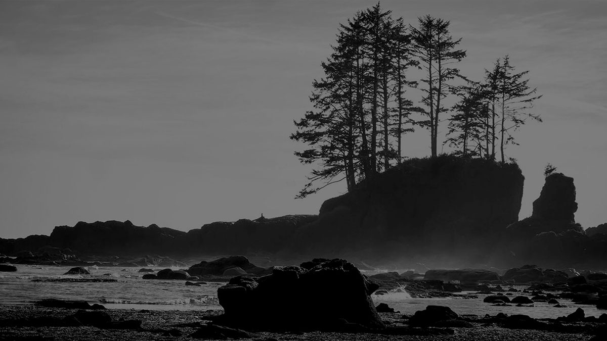 Carmanah Beach